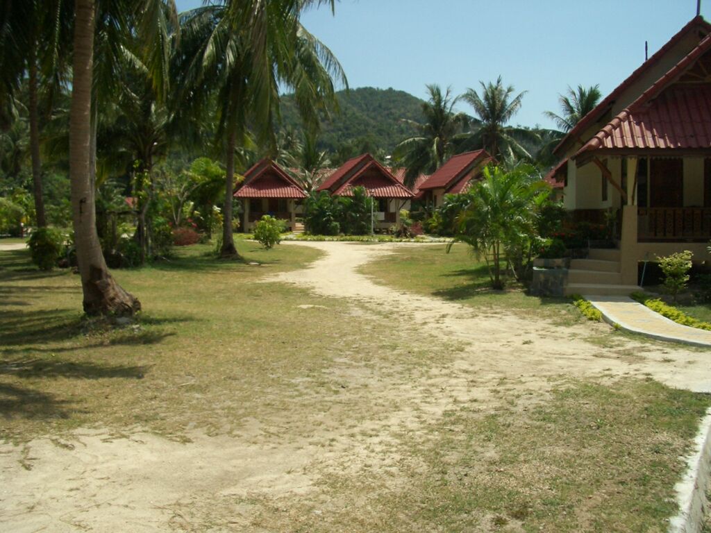 Click to See Next Image